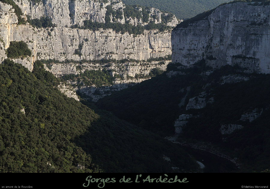 20111001_rouvieredebelvcirquemadeleine