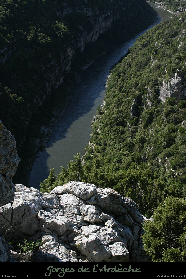 20080518_castelvieilpte1
