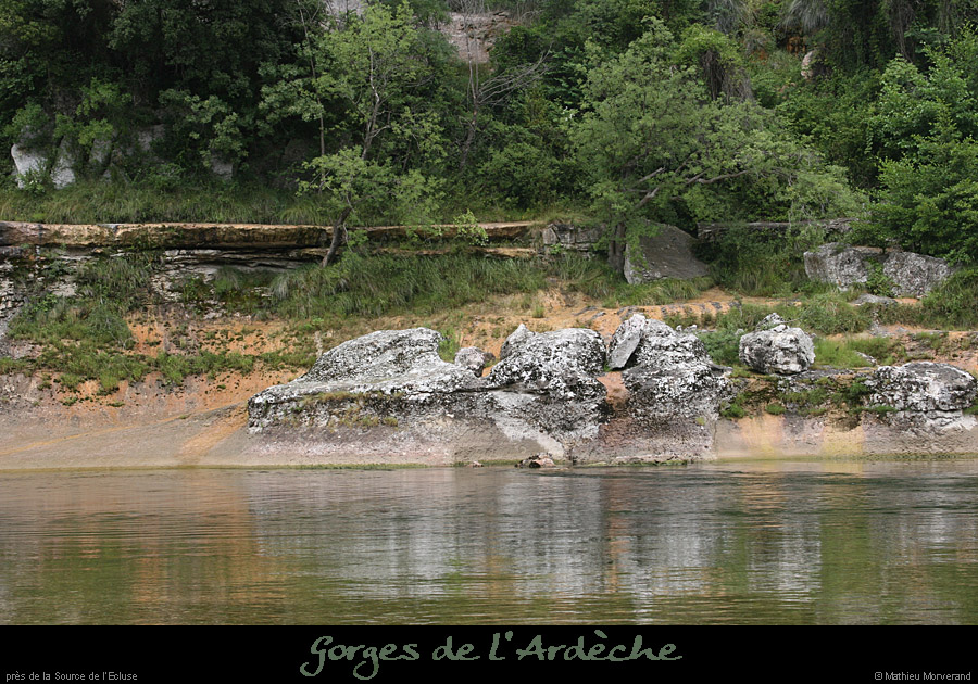 20080720_57