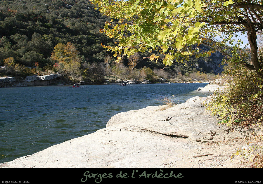 20071110_ldsauze1