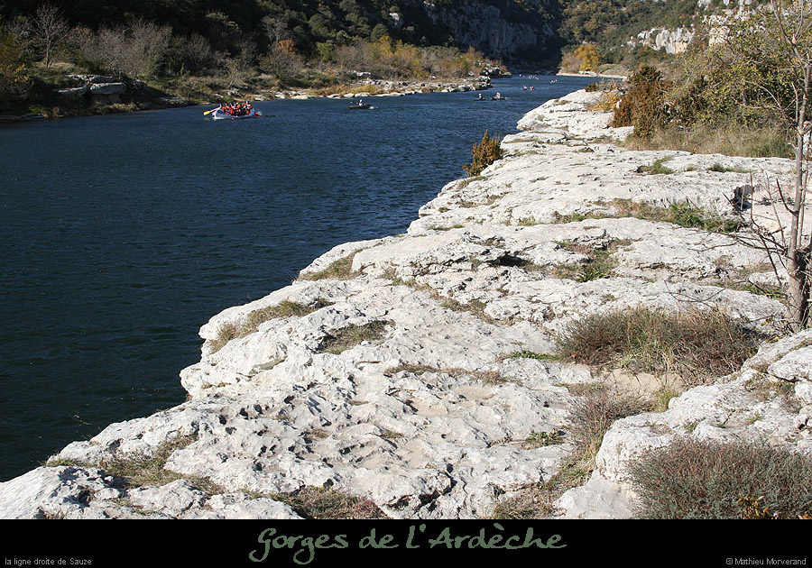 20071110_ldsauze2
