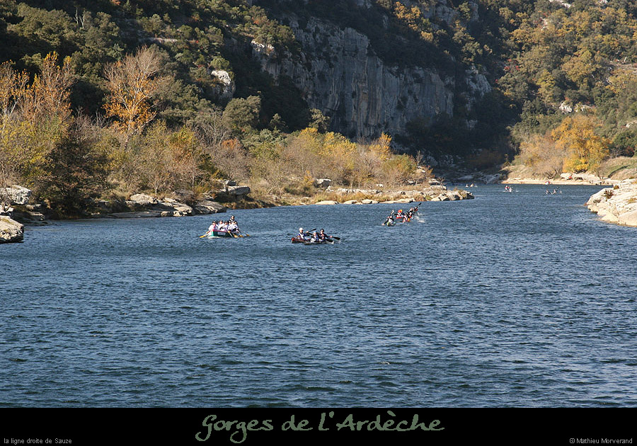 20071110_ldsauze3
