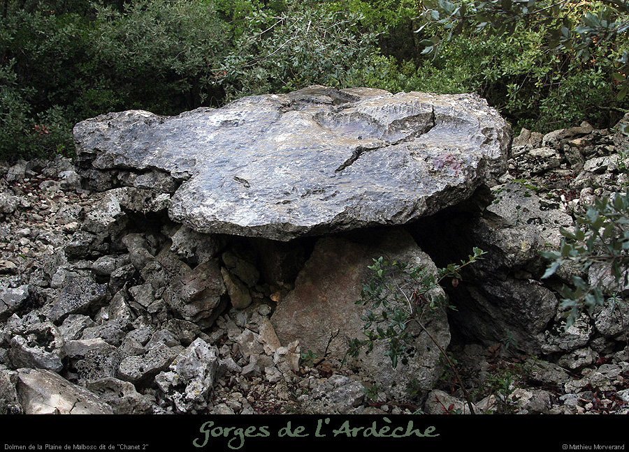 20151230_dolmenchanet2malbosc05
