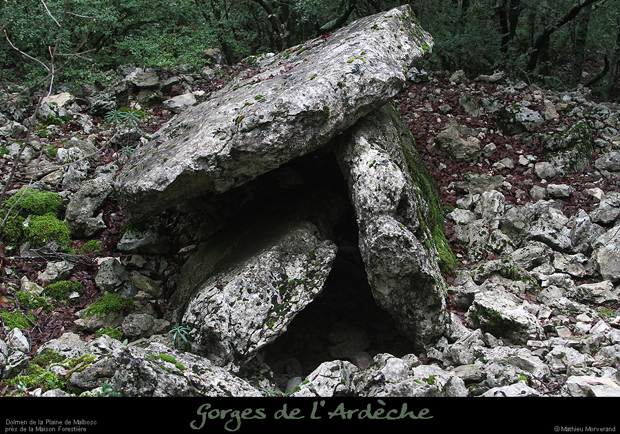 20160110_dolmenmalbosc02