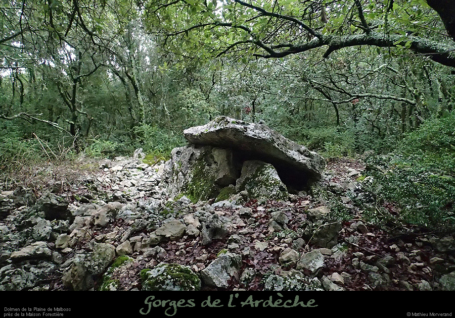 20160110_dolmenmalbosc09