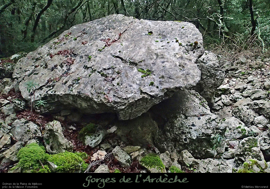 20160110_dolmenmalbosc11