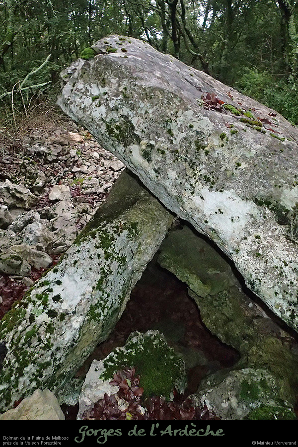 20160110_dolmenmalbosc14