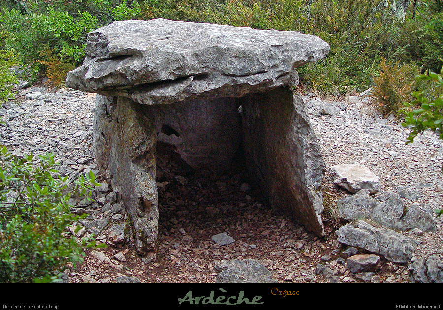 20020825_issirac_dolmendelaplaine_7