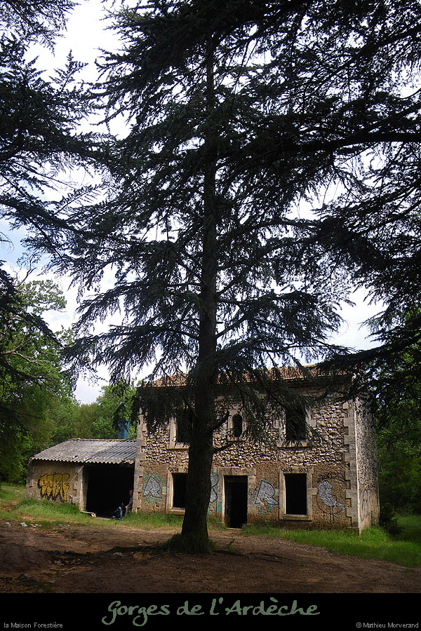 20100516_sudgorgesmaisonforestiere