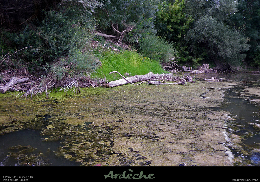20100812_stpauletdecaisson_rivesdemasliautier1