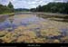 20100812_avstmartin_plainebosquet1