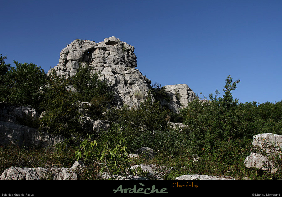 20130802_chandolas_boisderaoux