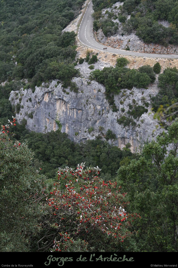 20131019_rtegorgesdepistegaud