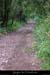 20010819_larouveyrolle_cheminlequeron_2