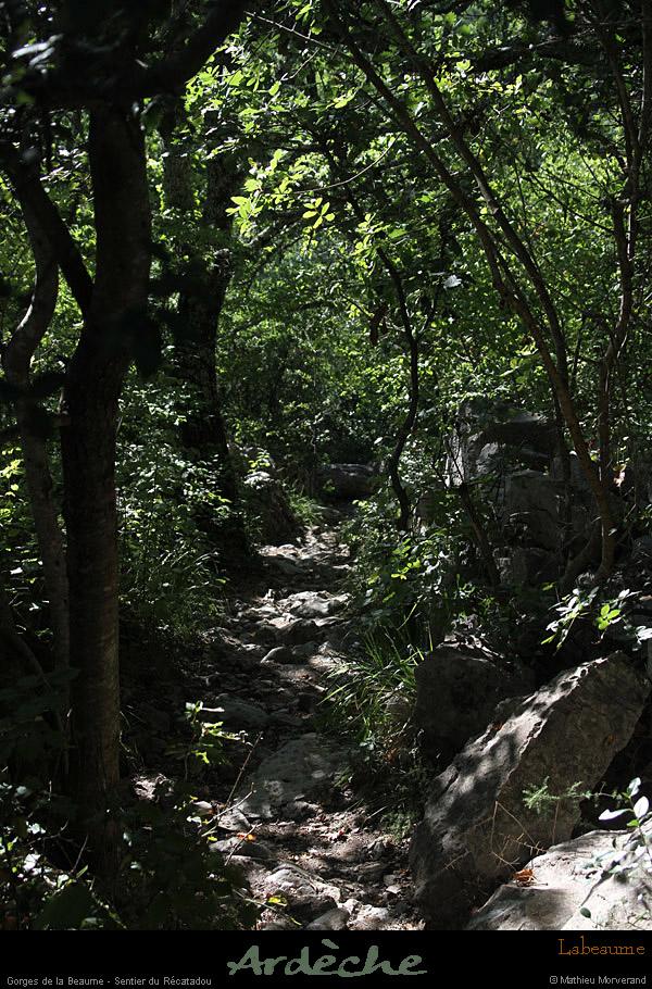 20110827_labeaume_chamontin_sentierrecatadou
