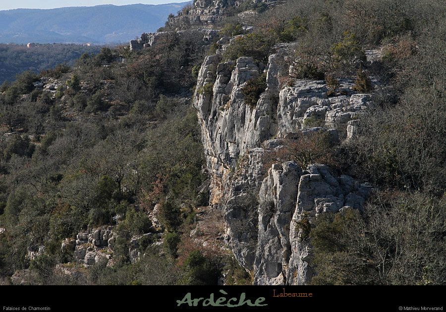 20120226_labeaume_falaisesdechamontin
