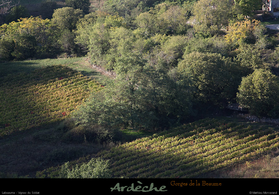 20121007_labeaume_vignesdusoldat