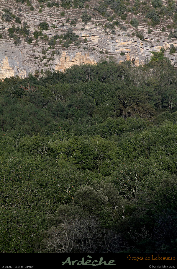20121007_stalban_valleebeaume_echelette2