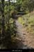 20110827_labeaume_gorgesdelabeaume_sentierssstgenest4