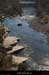 20111228_labeaume_rivieressrecatadou5