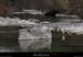 20120226_labeaume_riviereenamduvillage
