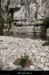 20120528_labeaume_gorgesenamontduvillage06