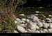 20120528_labeaume_riviereenamontduvillage3