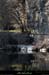 20130303_gorgesbeaume_falaisessslechelette6