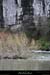 20140216_gorgesbeaume_falaisesschampagnac2