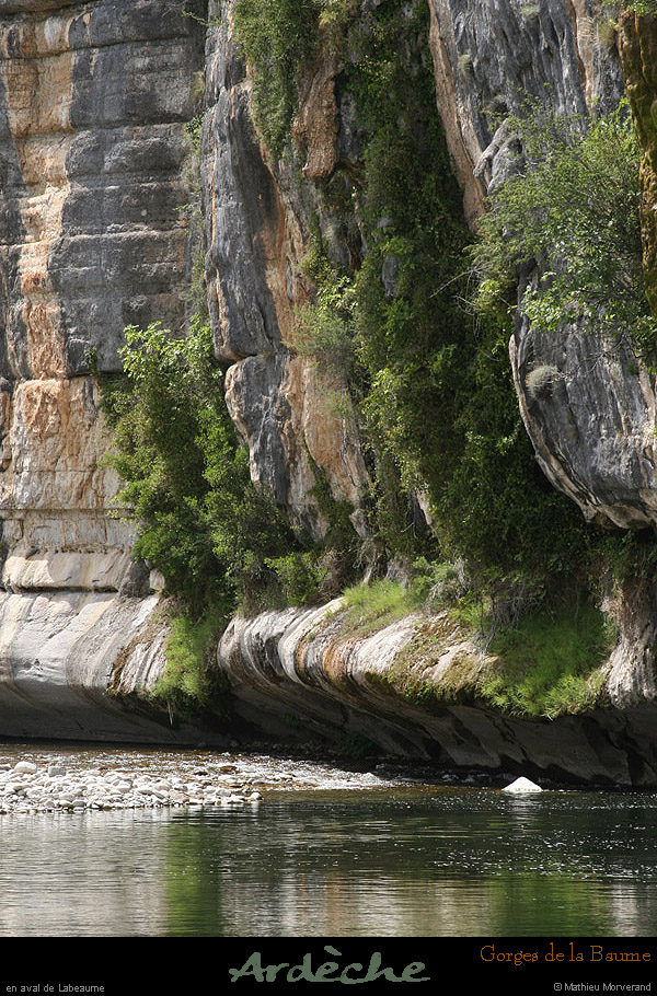 20090607_baume_champlautierfalaises01