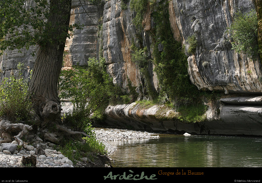 20090607_baume_champlautierfalaises04
