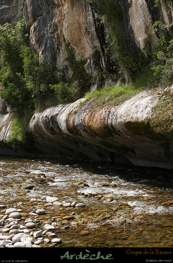 20090607_baume_champlautierfalaises08