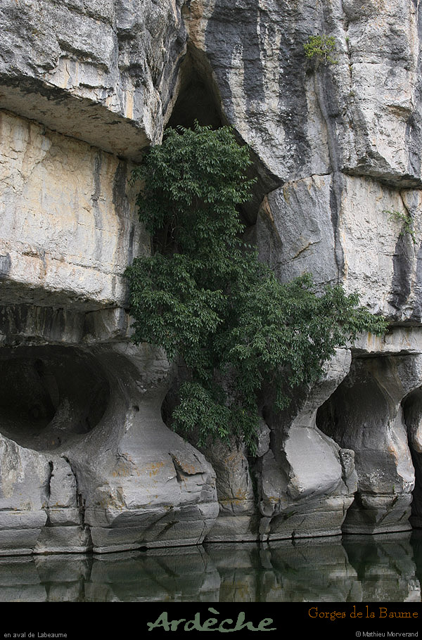 20090607_baume_cirqueplatane_falaises10