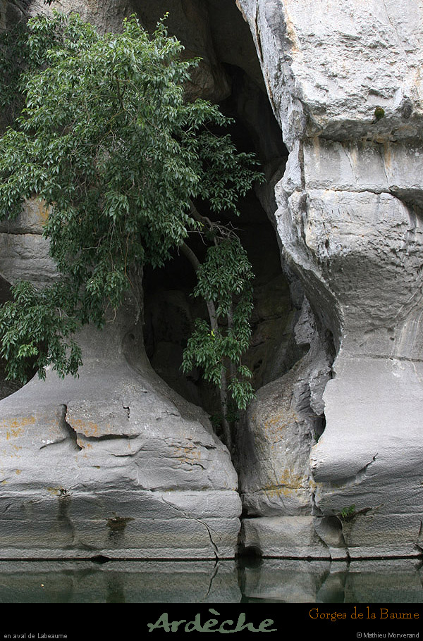 20090607_baume_cirqueplatane_falaises15
