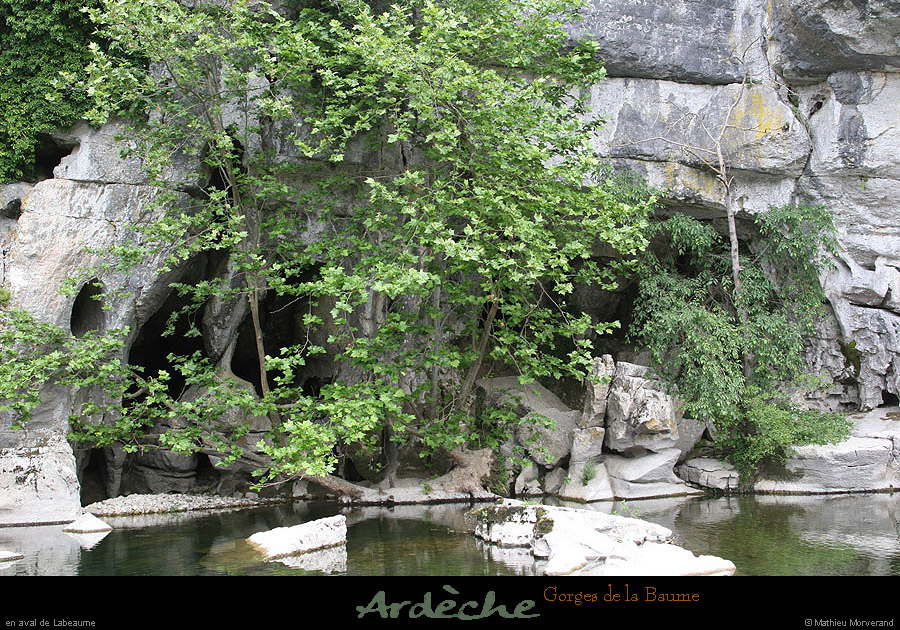 20090607_baume_cirqueplatane_falaises22