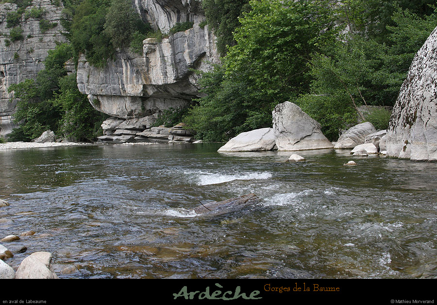 20090607_baume_cirqueplatane_falaises23