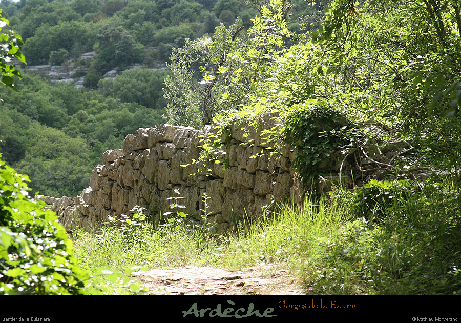 20090607_georgesbaume_sentierbuissiere