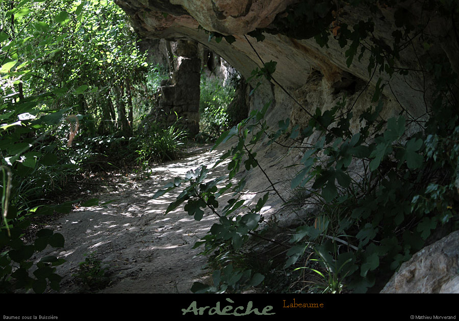 20110521_labeame_baumesslabuissiere1