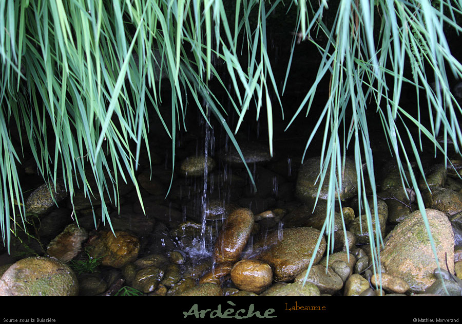 20110521_labeame_sourcesouslabuissiere