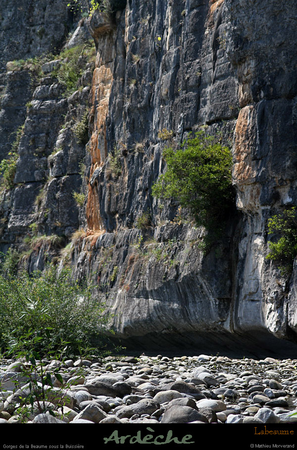 20110815_labeaume_falaisesouslabuissiere4