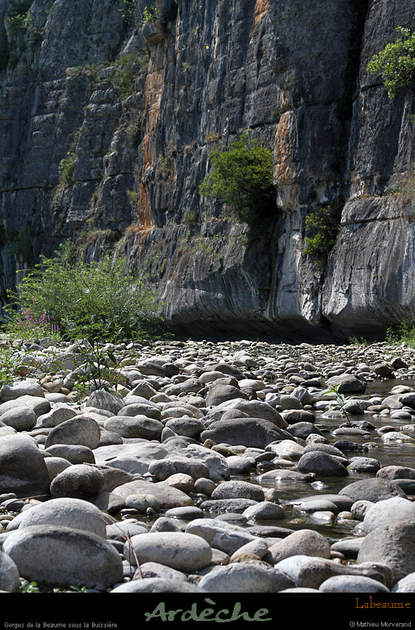 20110815_labeaume_falaisesouslabuissiere5