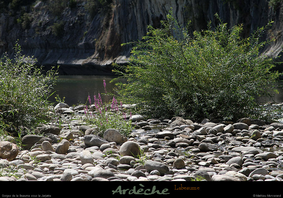 20110815_labeaume_gorgesouslajarjatte2