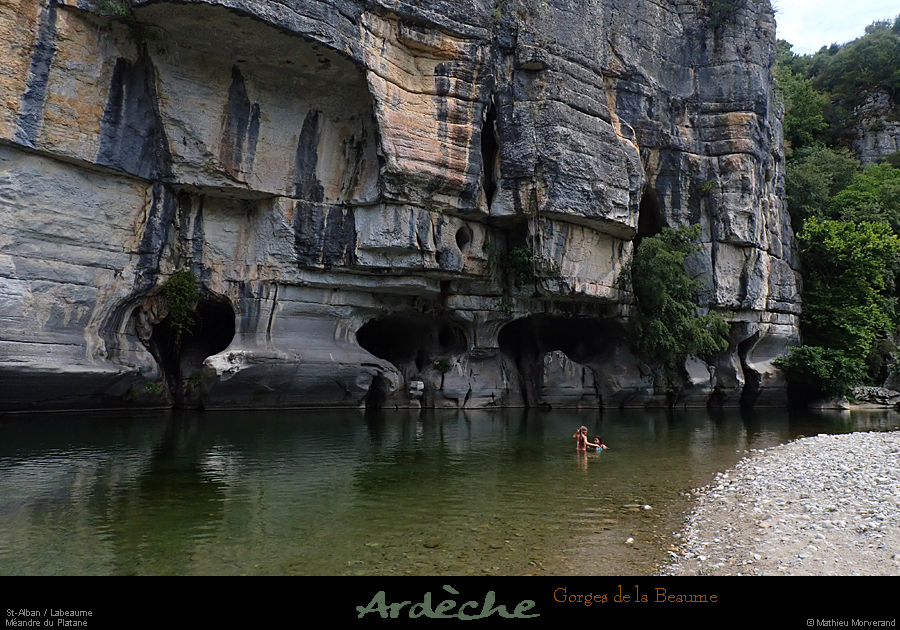 20200722_platane1