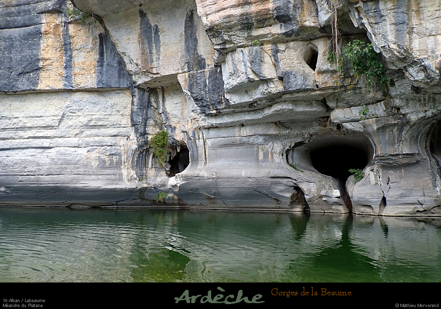 20200722_platane2