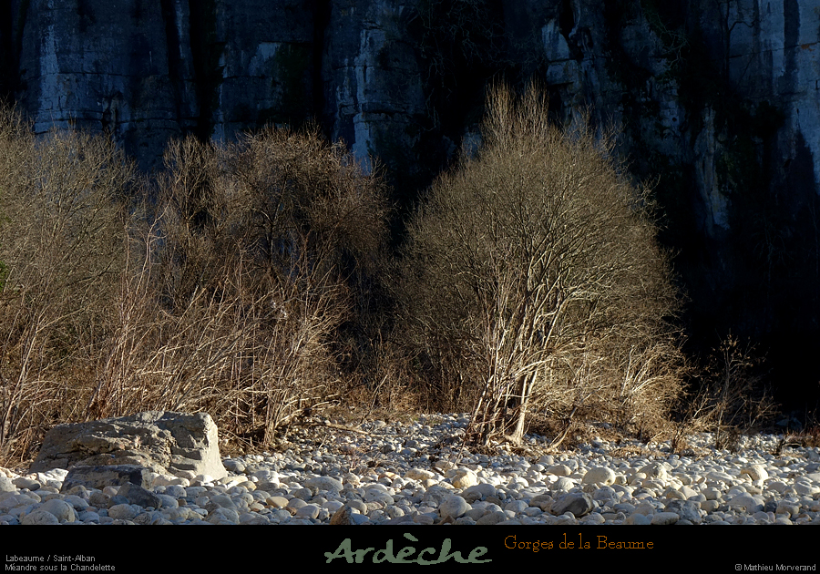 20241224_13