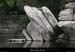 20090607_baume_ampeyroche3