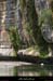 20090607_baume_champlautierfalaises01