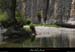 20090607_baume_champlautierfalaises03