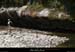 20090607_baume_champlautierfalaises05