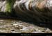 20090607_baume_champlautierfalaises07